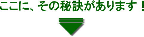 ɁA̔錍܂I
