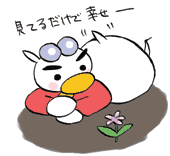 六甲高山植物園