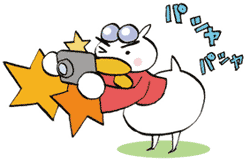 撮影