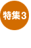 W3