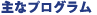 ȃvO